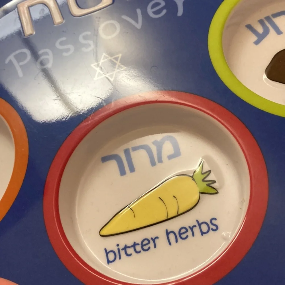 Target 2010 Melamine children’s Passover Plate